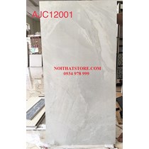 Đá bóng kính Trung Quốc 60x120 AJC12001