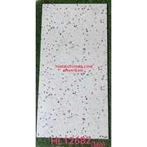 Đá đồng chất mờ Trung Quốc 60x120 HL12682