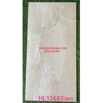 Đá đồng chất mờ Trung Quốc 60x120 HL12683