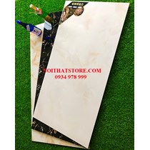 Đá đồng chất Trung Quốc 60x120 12613