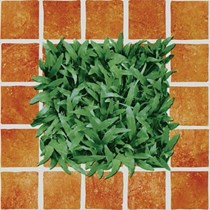 Đá lát nền Đồng Tâm 40x40 CLG002