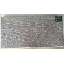 Đá lát sân vườn 30x60 CTGS 3649
