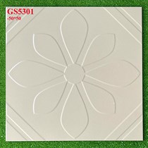 Đá lát sân vườn 50x50 GS5301