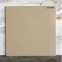 Đá lát sân vườn 50x50 LUX5000