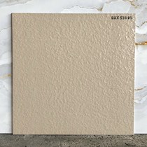 Đá lát sân vườn 50x50 LUX5314R