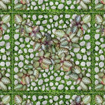 Đá sân vườn Đồng Tâm 4040GREENERY004