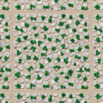Đá sân vườn Đồng Tâm 4040GREENERY005