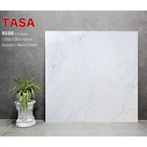 Gạch lát nền Tasa 120x120 9508