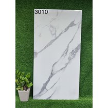 Gạch 60x120 Ấn Độ 3010