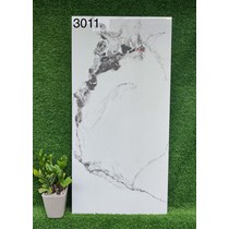 Gạch 60x120 Ấn Độ 3011