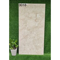 Gạch 60x120 Ấn Độ 3018