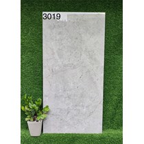 Gạch 60x120 Ấn Độ 3019