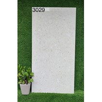 Gạch 60x120 Ấn Độ 3029