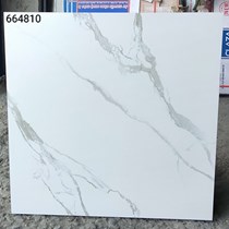 Gạch 60x60 mờ xi măng 664810