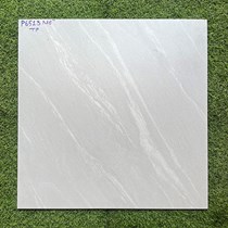 Gạch 60x60 mờ xi măng P6513TP
