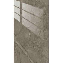 Gạch 80x160 Viglacera US10-GP81605