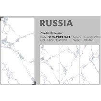 Gạch 80x160 Viglacera VI15-9GP81601