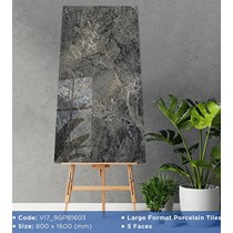 Gạch 80x160 Viglacera VI7-9GP81603
