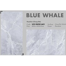 Gạch 80x160 Viglacera VI9-9GP81601