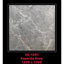 Gạch Ấn Độ 120x120 VA-1201