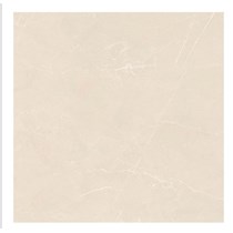 Gạch Ấn Độ 120x120 VA-1232