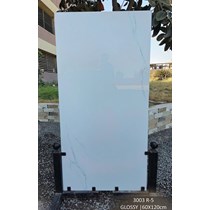 Gạch Ấn Độ 60x120 3003 R-5