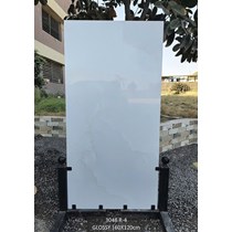 Gạch Ấn Độ 60x120 3048 R-4