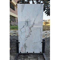 Gạch Ấn Độ 60x120 3050 R-5