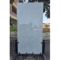 Gạch Ấn Độ 60x120 3052 R-4