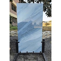 Gạch Ấn Độ 60x120 3061 R-4