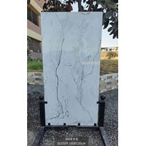 Gạch Ấn Độ 60x120 3068 R-6
