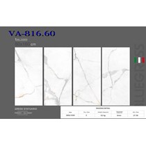 Gạch Ấn Độ 80x160 VA-816.60