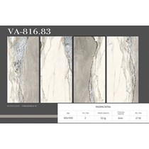 Gạch Ấn Độ 80x160 VA-816.83