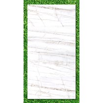 Gạch Ấn Độ 80x160 VA-816.96
