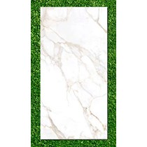 Gạch Ấn Độ 80x160 VA-BF86.105