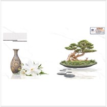 Gạch điểm ốp tường Vitaly 30x60 BK3694DA