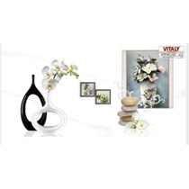 Gạch điểm ốp tường Vitaly 30x60 HTP3611D2