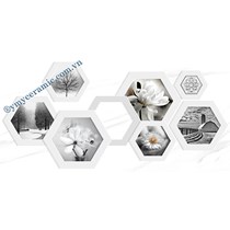 Gạch điểm ốp tường Ý Mỹ 40x80 G4081D