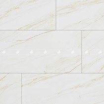 Gạch Đồng Tâm 60120LANGBIANG001