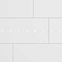 Gạch Đồng Tâm 60120SNOW001