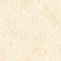 Gạch Đồng Tâm 8080FANSIPAN004-FP-H+