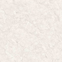 Gạch Đồng Tâm 8080NAPOLEON004-H+