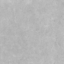 Gạch Đồng Tâm 8080NAPOLEON005-H+