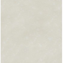 Gạch Đồng Tâm 8080PLATINUM003
