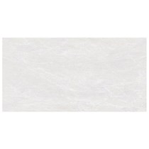 Gạch Đồng Tâm bóng 4080FAME001