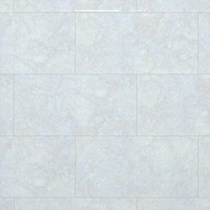 Gạch Đồng Tâm bóng 4080FAME006