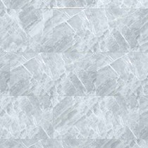 Gạch Đồng Tâm bóng 4080FAME009