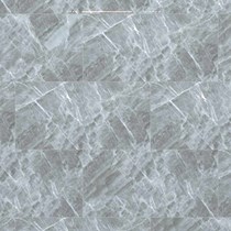 Gạch Đồng Tâm bóng 4080FAME010