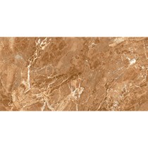 Gạch Đồng Tâm bóng 4080REGAL003