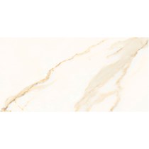 Gạch Đồng Tâm bóng 4080REGAL005